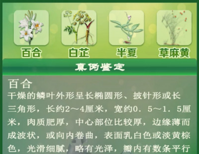 中药材识别鉴赏虚拟仿真软件
